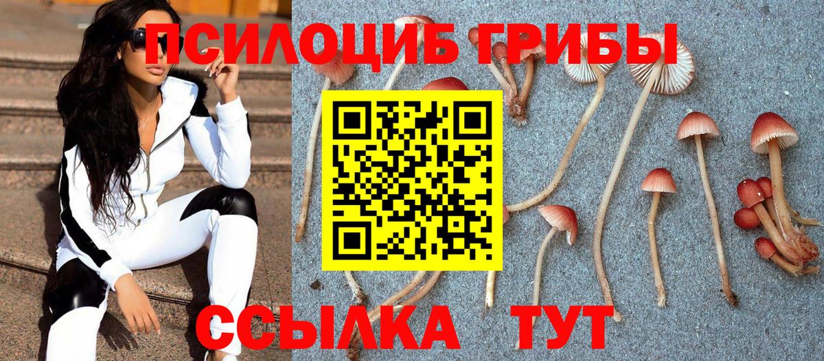 Губкинский  Галлюциногенные грибы мицелий  закладка  Вход с VPN 