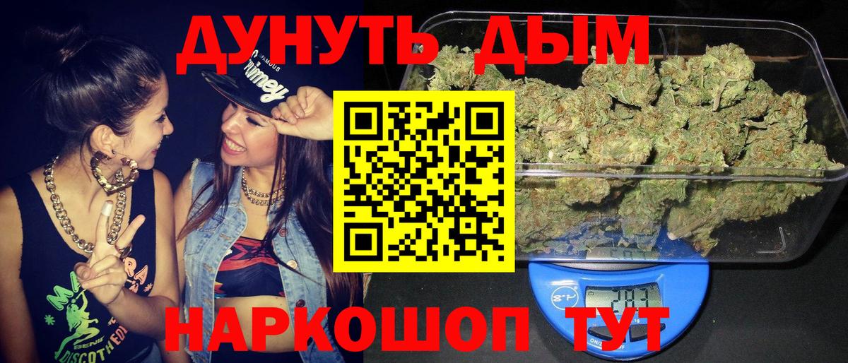 Каннабис гибрид Губкинский